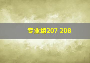 专业组207 208